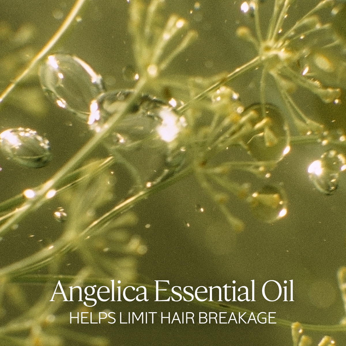 Intensive Repair Shampoo Refill