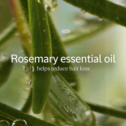 Anti-Hair Loss Treatment